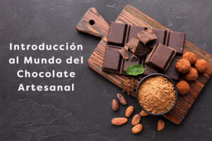 Lee más sobre el artículo Introducción al Mundo del Chocolate Artesanal en 2024