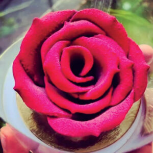 Rosas de Chocolate